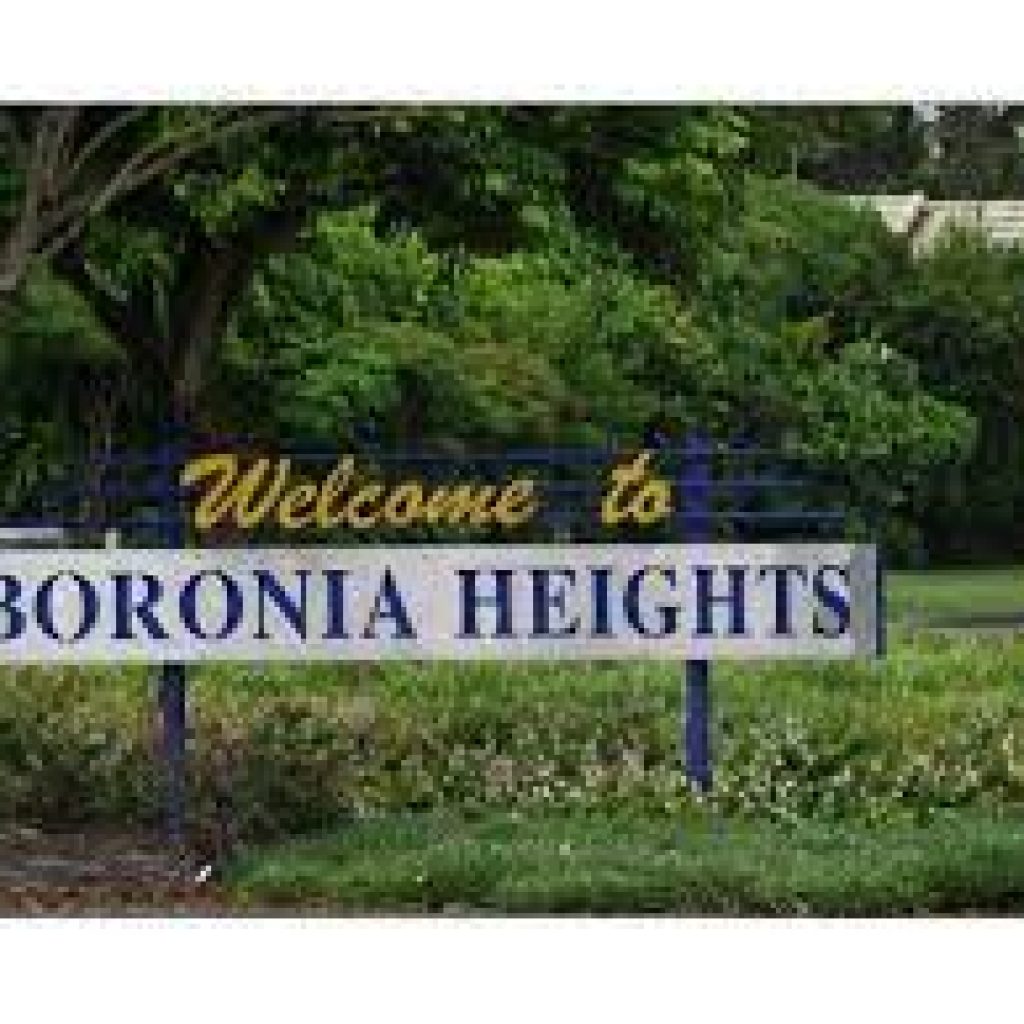 Cleaners in Boronia Heights